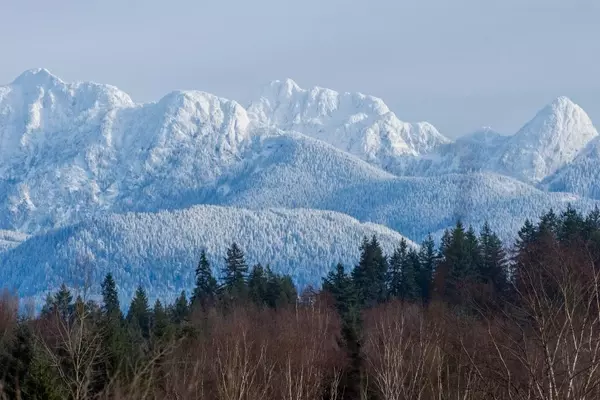Hikers Survive Blizzard Due to Emergency Shelter