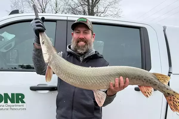 Angler Lands Record-Breaking Longnose Gar in Indiana