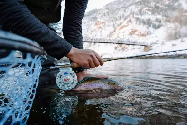 Ross Reels and Coors Announce Innovative Fishing Gear Collection with Conservation Focus