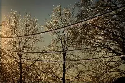 Ice Storms: Understanding the Hazards and Preparing for Impact