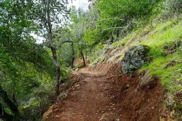 Marin County Unveils Expensive New Bike Trail After Decade-Long Wait