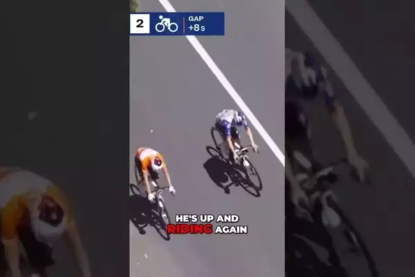 Kangaroo Encounter Jolts Tour Down Under Cyclists