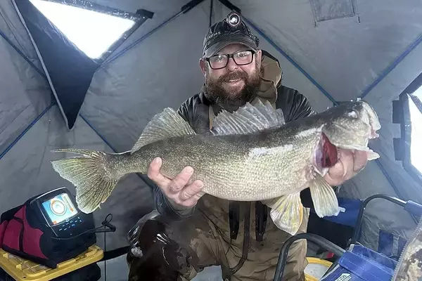 Ice Angler's Dream Catch: A 12-Pound Walleye