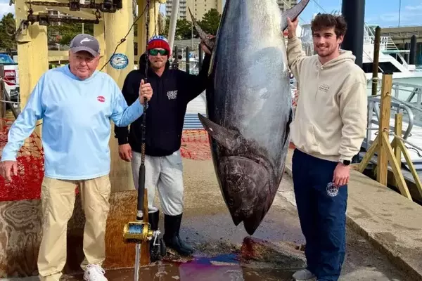 Virginia's New Bluefin Tuna Record Shattered by Over 100 Pounds