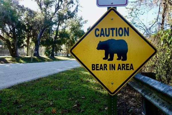 Understanding Mountain Bikers' Apprehensions on Trails
