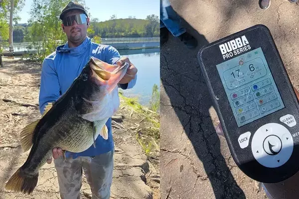 Angler Lands Record-Breaking 17-Pound Bass in San Diego Lake