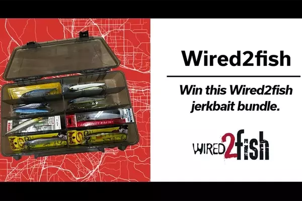 Win a Wired2fish Jerkbait Bundle!