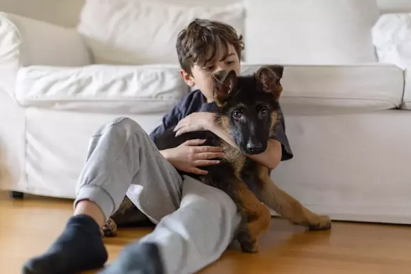The Journey of Welcoming a Pet: Addressing a Child's Desire for Companionship