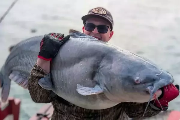 Lake Guntersville Yields Two Record-Breaking Blue Catfish
