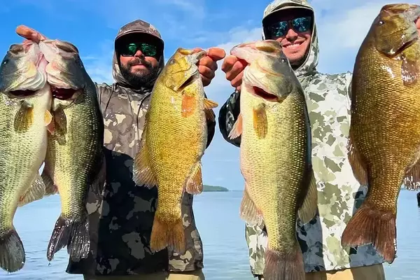 Northern Strain Bass: The Ultimate Catch for Anglers