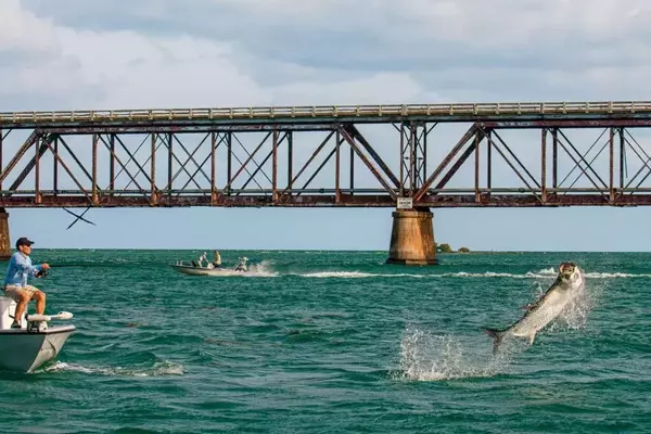 Strategies for Catching Large Tarpon