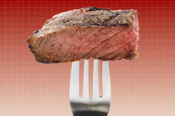 Understanding the Carnivore Diet: A Critical Review of Health Impacts