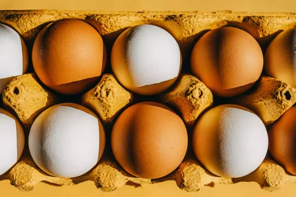Optimizing Protein Intake During Menopause: A Comprehensive Guide