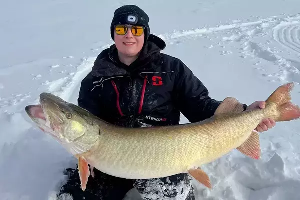 Pennsylvania Angler Hooks Massive Muskie Through Ice