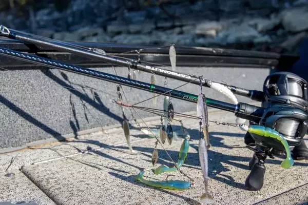 Mastering the Alabama Rig for Bass Fishing Success