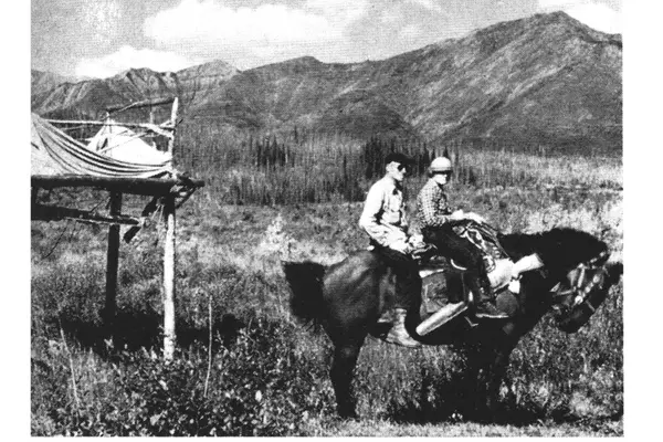 From Rocky Start to Triumphant Harvest: An Unforgettable Hunting Expedition