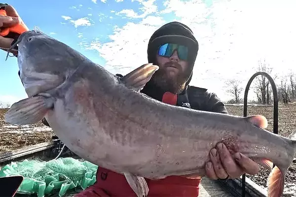 Winter's Chill, Angler's Thrill: The Art of Catching Blue Catfish