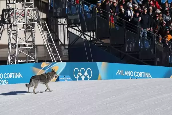 Unexpected Canine Interruption at Winter Olympics Cross-Country Event