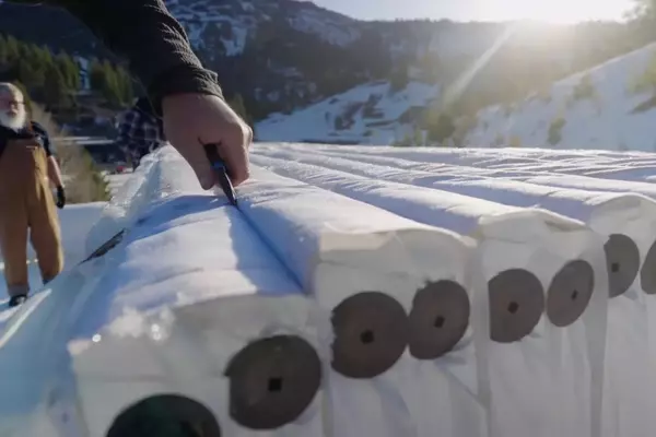 Snow Blankets: A Lifeline for Ski Seasons Amidst Warming Trends