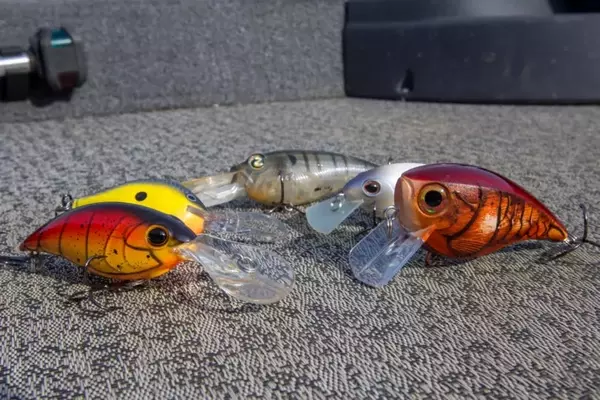 Mastering Crankbait Selection for Bass Fishing Success
