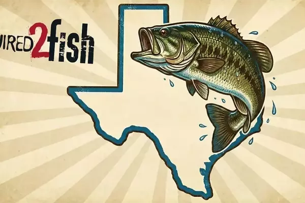 Top Bass Fishing Destinations in Texas