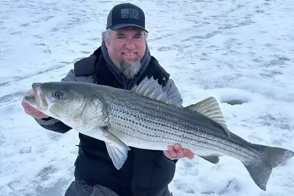 Angler's Icy Triumph: A 38-Inch Striped Bass Through Rhode Island Ice