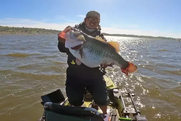 Kayak Angler's Record-Breaking Bass Catch on Eastman Lake