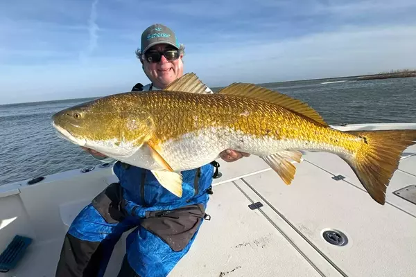Louisiana Anglers Release Potential Record-Breaking Redfish