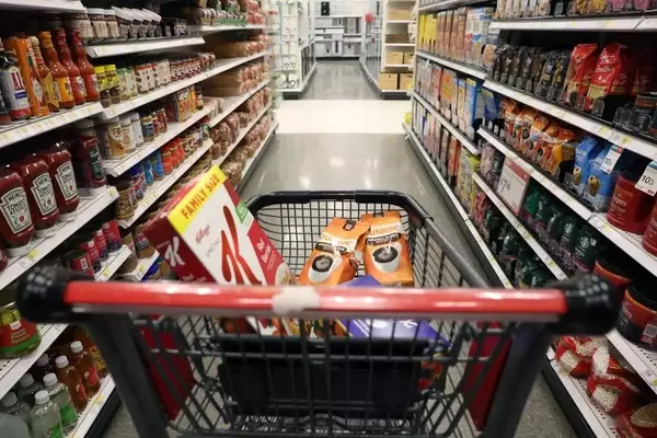 Tariff Persistence: Why Consumer Prices Remain Elevated Despite Legal Challenges