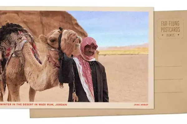 Wadi Rum Blooms: A Desert Transformed by Winter Rains