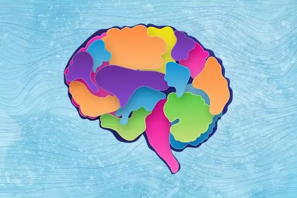 Frozen Salmon: A Brain-Boosting Superfood