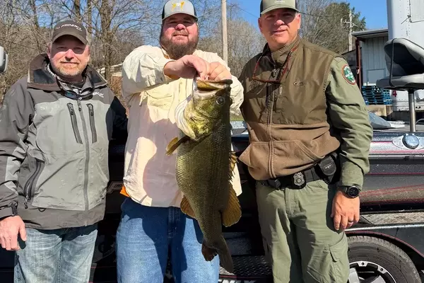 Angler Lands Potential Record-Breaking Bass in Tennessee