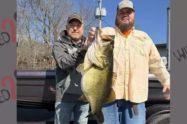 Angler Shatters Tennessee Largemouth Bass Record
