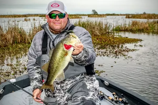 Mastering Funnel Fishing for Bass
