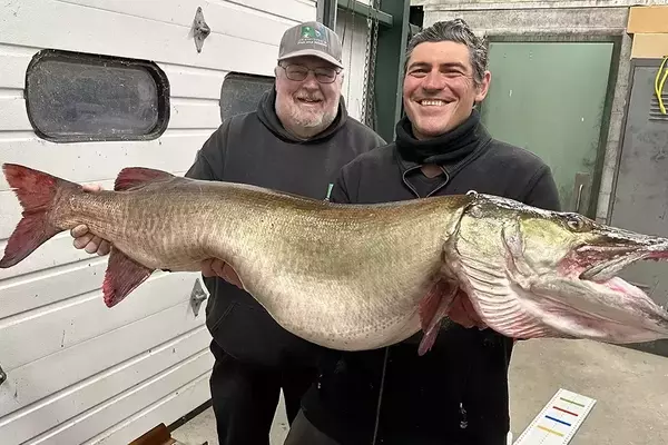 A Remarkable Catch: New Jersey's Potential Record Muskie