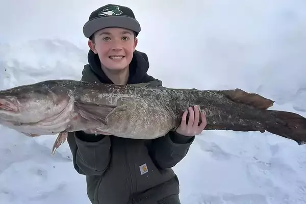 Teenager Catches Record-Breaking Burbot in Lake Nipigon
