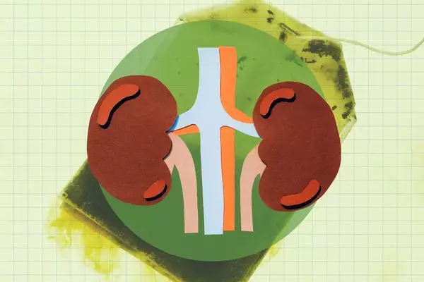 Green Tea: A Potent Ally for Kidney Wellness
