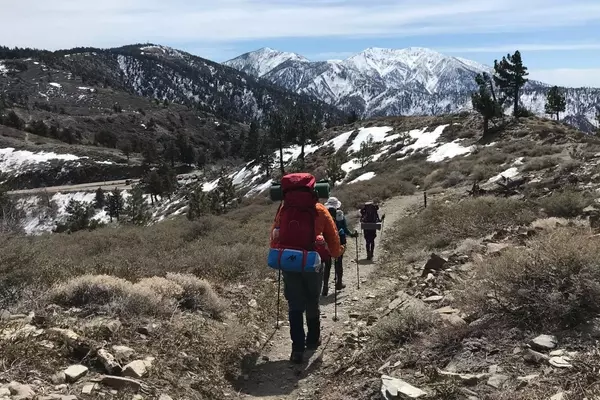 Exploring the Gut-Altitude Connection: Probiotics as a Shield Against Altitude Sickness