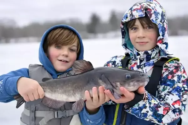 Young Angler's Mysterious Catch: A Potential Connecticut Record
