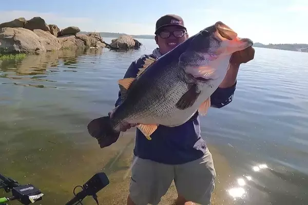 California Angler Lands Massive Bass, Continues Impressive Catch Streak