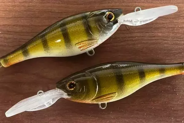 Anglers Embrace DIY Bait Making for Enhanced Fishing Success