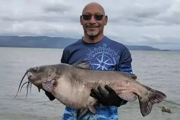Record-Breaking Catfish Caught in Clear Lake, California