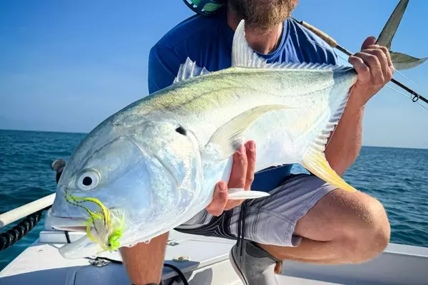 Mastering Jack Crevalle Fly Fishing