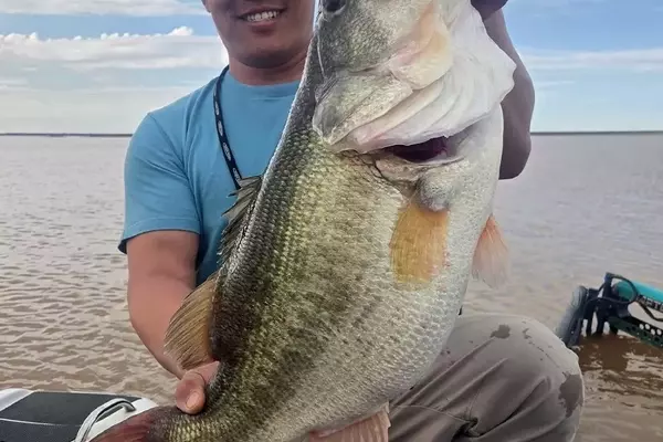 Angler Catches and Donates a 13-Pound Largemouth Bass