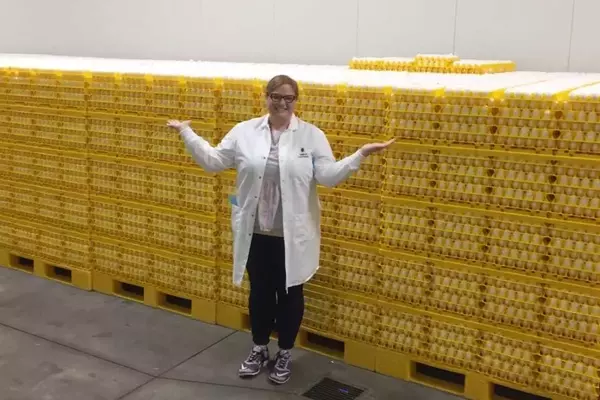Egg Prices Decline Amidst Avian Flu Recovery and Market Saturation