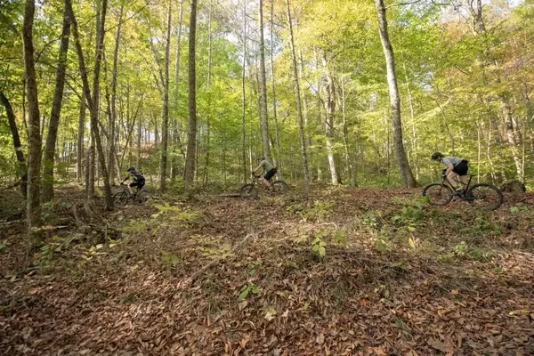 Exploring Ohio's Top Mountain Biking Trails: A Guide to the State's Premier Singletrack Destinations