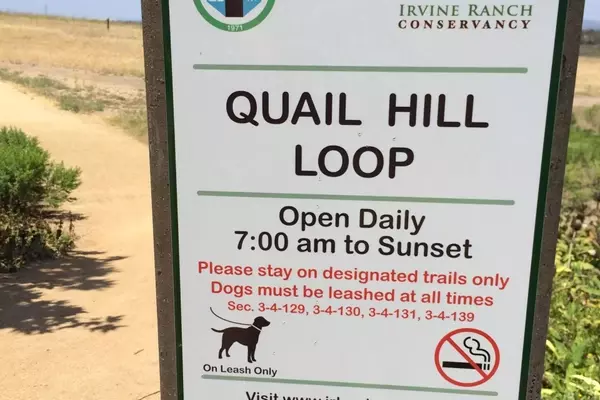 California Cyclist Dies After Rattlesnake Bite