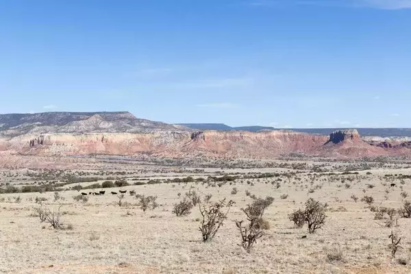 Reconsidering Georgia O'Keeffe's Legacy and Preserving Her Beloved Landscape