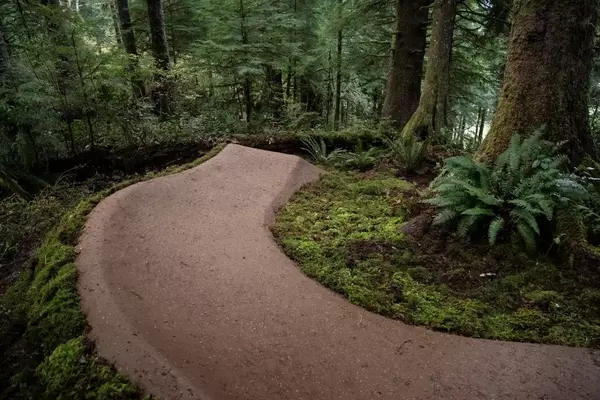 New Mountain Biking Trails Unveiled at Buzzard Butte: A Vision for the Oregon Coast