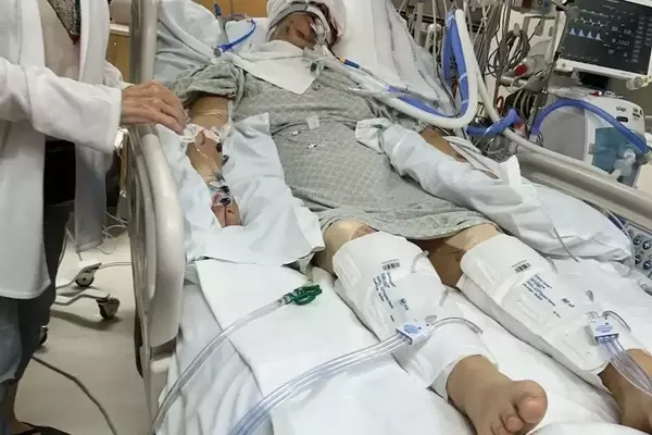 A Woman's Horrific Encounter with a Brown Bear and Her Journey to Recovery